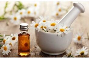 Phytopreparation based on chamomile flowers for the treatment of osteoarthritis