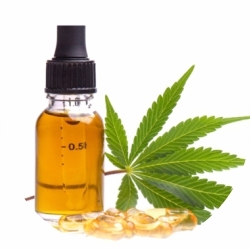 oil Cannabis Oil